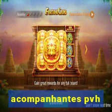 acompanhantes pvh