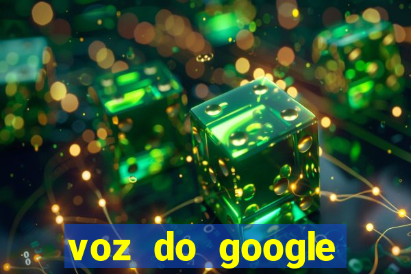 voz do google tradutor homem