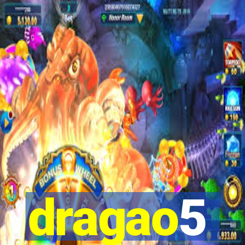 dragao5