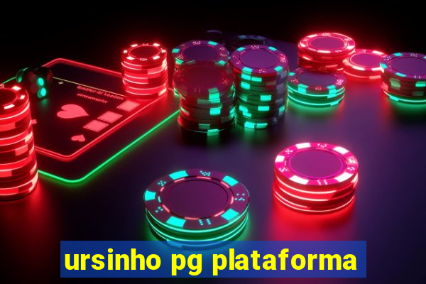 ursinho pg plataforma