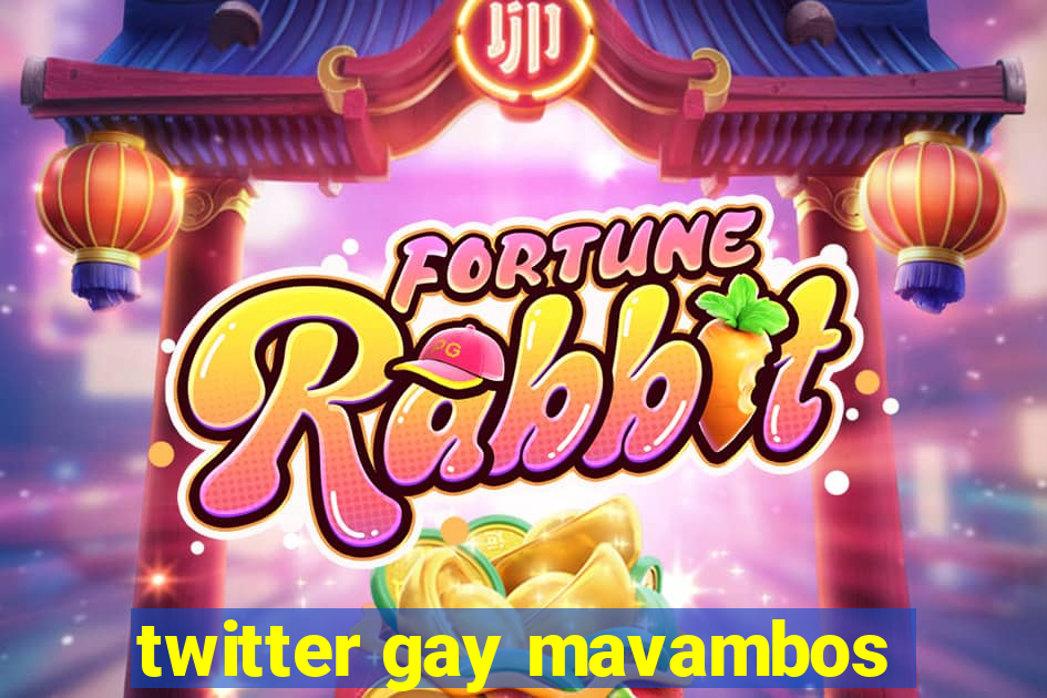 twitter gay mavambos