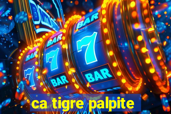 ca tigre palpite