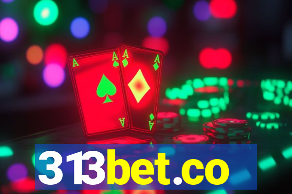 313bet.co