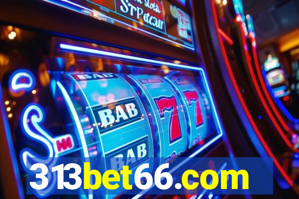 313bet66.com