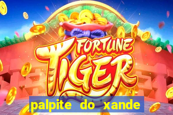 palpite do xande para hoje