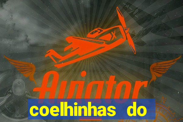 coelhinhas do brasil recife