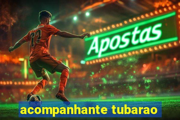 acompanhante tubarao