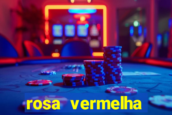 rosa vermelha (letra e cifra)