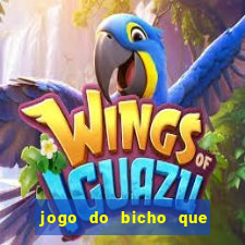 jogo do bicho que paga no pix