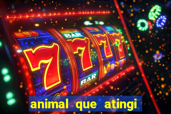 animal que atingi 230 decibeis