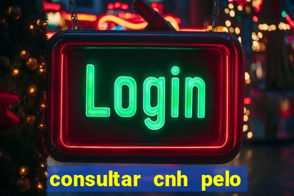 consultar cnh pelo cpf sp