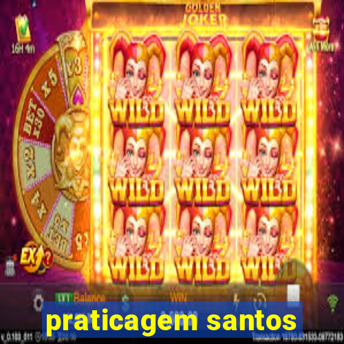 praticagem santos