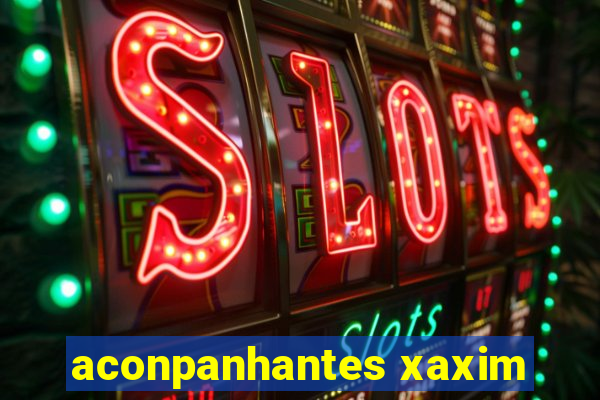 aconpanhantes xaxim