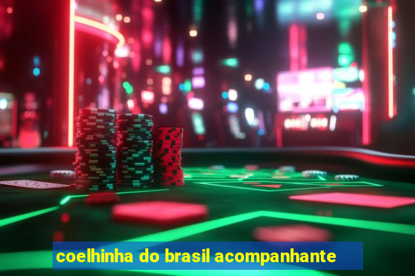 coelhinha do brasil acompanhante