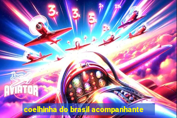 coelhinha do brasil acompanhante