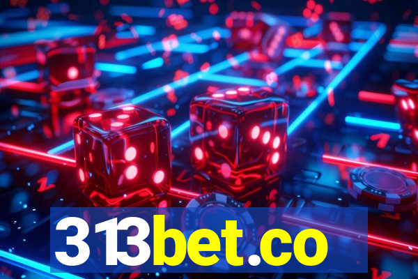 313bet.co