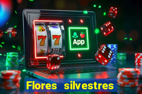 Flores silvestres brasileiras brasileiras flores silvestres nomes e imagens