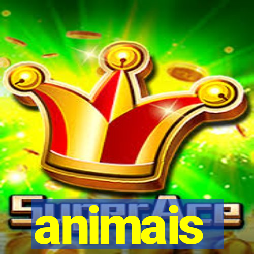 animais-pg.com