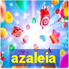 azaleia-br.com