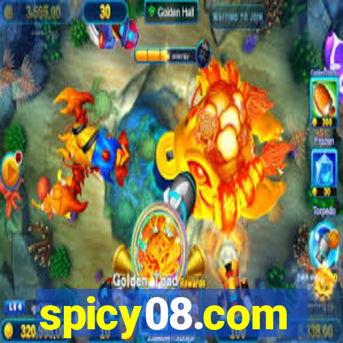 spicy08.com