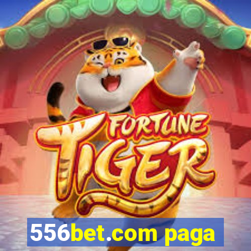 556bet.com paga