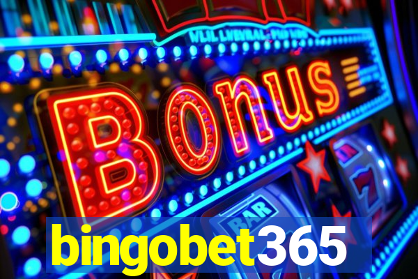 bingobet365