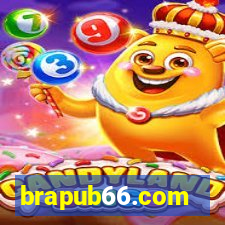 brapub66.com