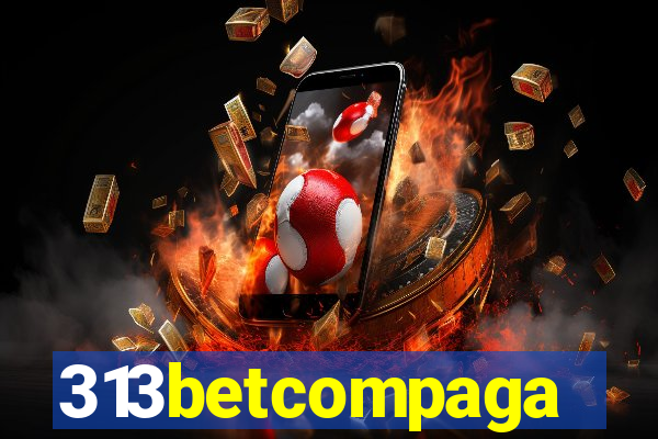 313betcompaga