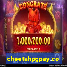 cheetahpgpay.com