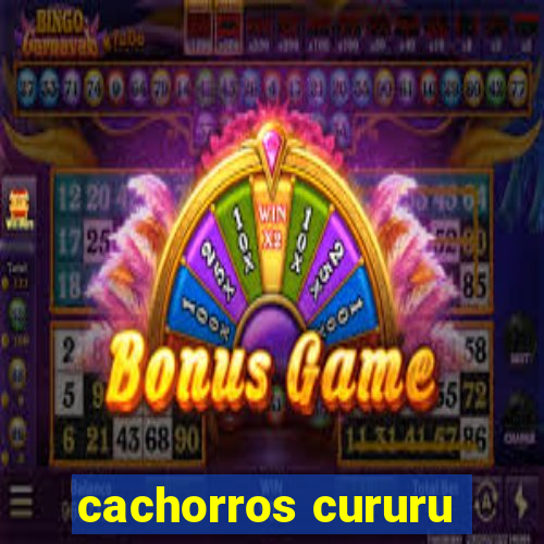 cachorros cururu