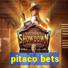 pitaco bets