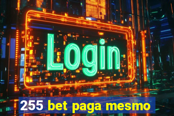 255 bet paga mesmo