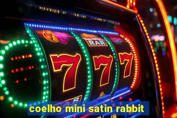 coelho mini satin rabbit