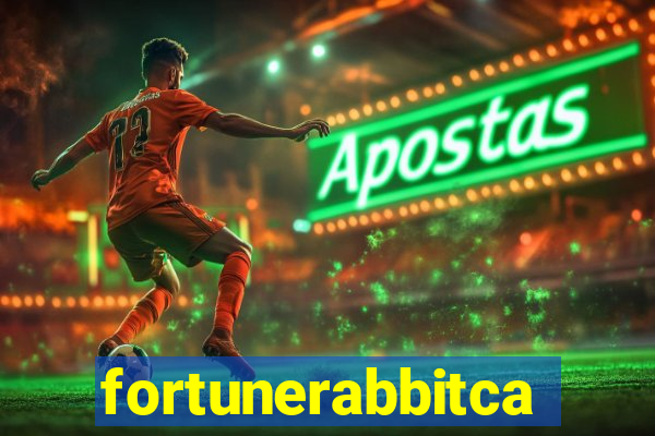 fortunerabbitcasino.online