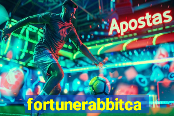 fortunerabbitcasino.online