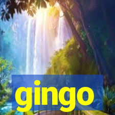 gingo