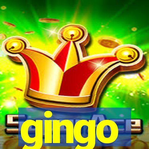 gingo