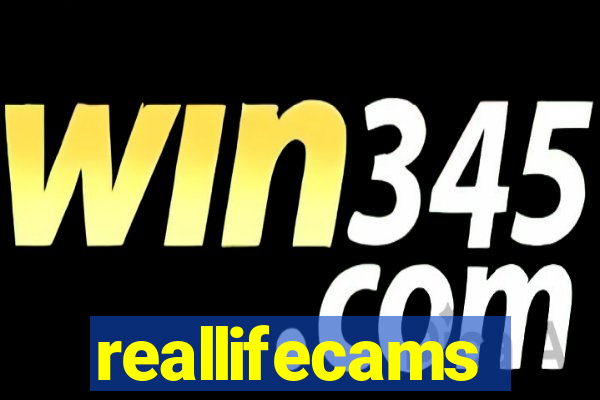 reallifecams