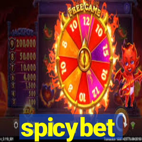 spicybet-2.com