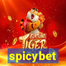 spicybet-4.com