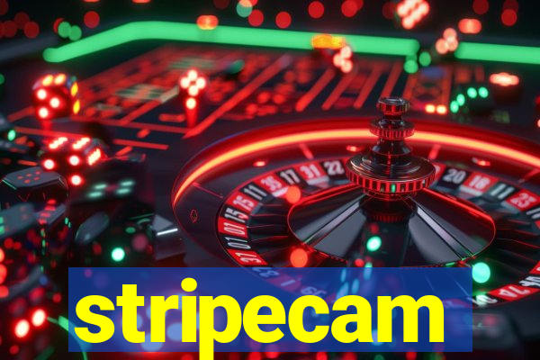 stripecam