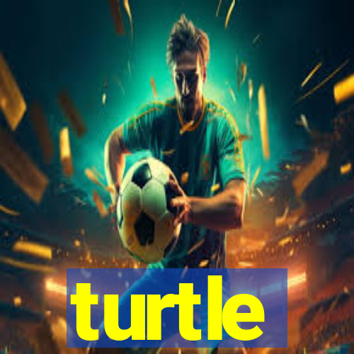 turtle-ty.com