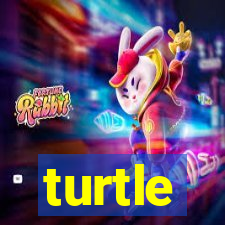 turtle-ty.com